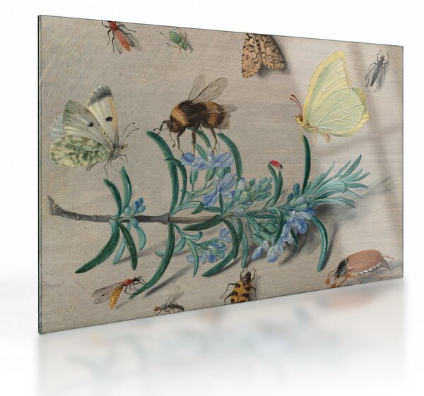 Üveg kép - Jan van Kessel the Elder, Insects and a Sprig of Rosemary, reprodukciók (70x50 cm)