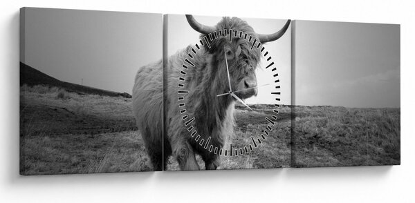 Kép - Skót tehén, fekete-fehér (órával) (90x30 cm)