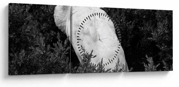 Kép - Páva, fekete-fehér (órával) (90x30 cm)
