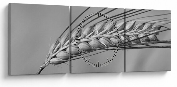Kép - Búza, fekete-fehér (órával) (90x30 cm)