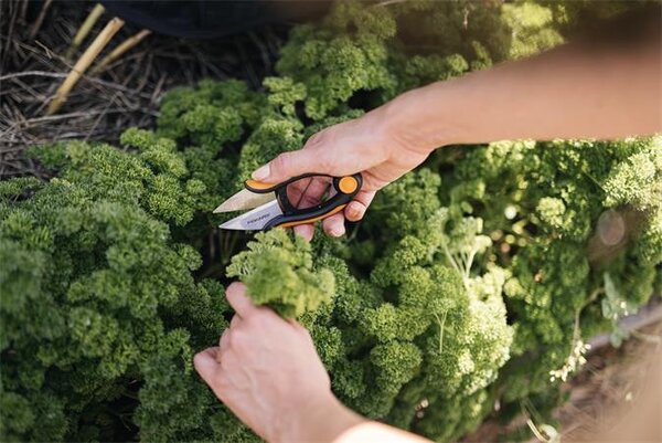 Fűszervágó olló, FISKARS Solid™ SP220 (IF1063326)