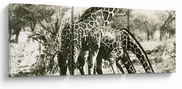 Kép - Zsiráfok, vintage (órával) (90x30 cm)