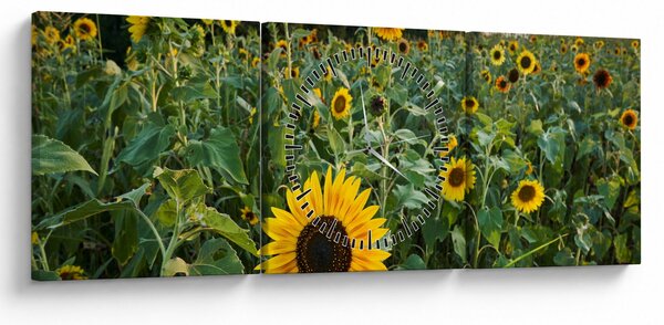 Kép - Napraforgómező II. (órával) (90x30 cm)