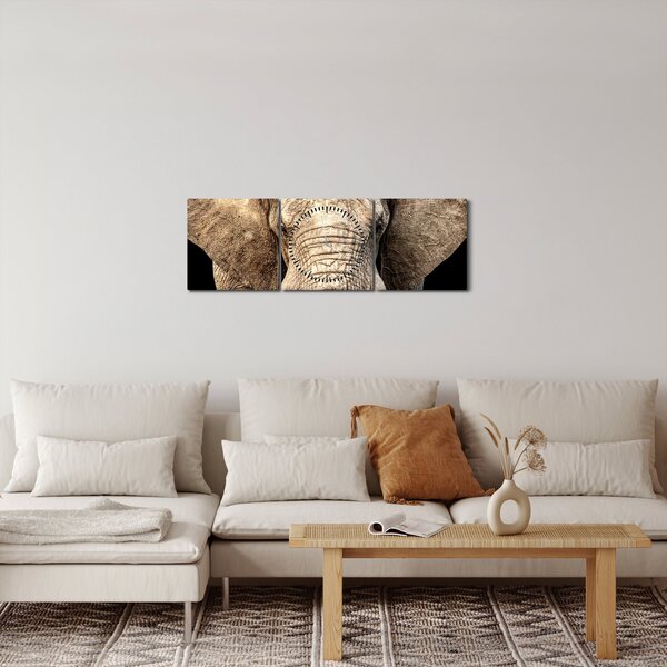 Kép - Afrikai elefánt (órával) (90x30 cm)