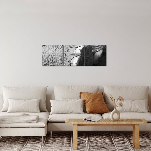 Kép - Elefánt láb (órával) (90x30 cm)