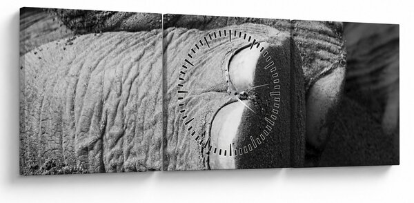 Kép - Elefánt láb (órával) (90x30 cm)
