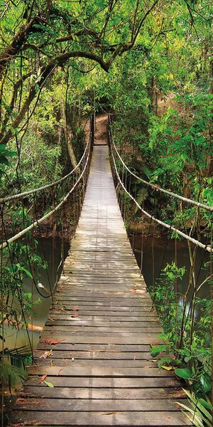 Fotótapéta ajtóra JUNGLE BRIDGE 86x200 cm
