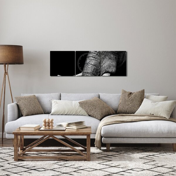 Kép - Elefánt agyar (órával) (90x30 cm)