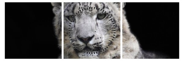 Kép - Snow Leopard (órával) (90x30 cm)
