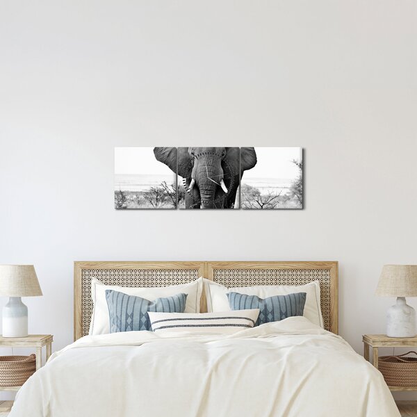 Kép - Afrikai elefánt II. (órával) (90x30 cm)