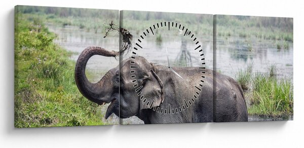 Kép - Fürdőző elefánt (órával) (90x30 cm)
