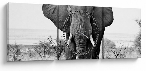 Kép - Afrikai elefánt II. (órával) (90x30 cm)
