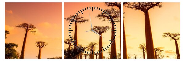 Kép - Naplemente a Baobab Alley-ben (órával) (90x30 cm)
