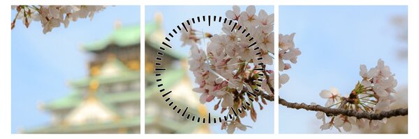 Kép - Sakura (órával) (90x30 cm)