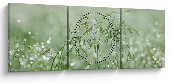 Kép - Reggeli harmat a fűszálakon (órával) (90x30 cm)