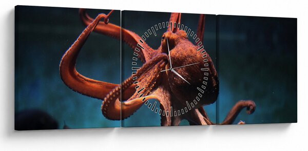 Kép - Octopus (órával) (90x30 cm)