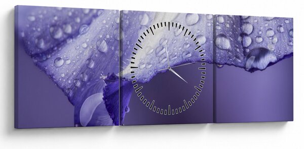 Kép - Szirom cseppekkel (órával) (90x30 cm)