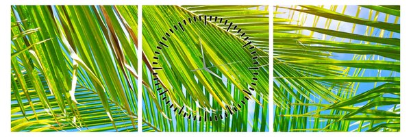 Kép - Pálmalevelek (órával) (90x30 cm)