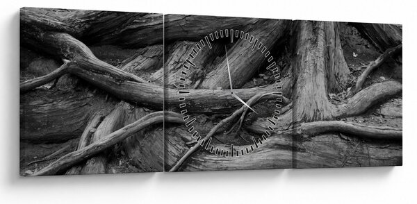 Kép - A fa gyökerei (órával) (90x30 cm)