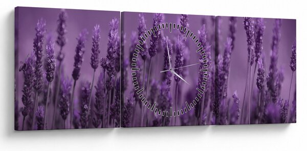 Kép - Levendula (órával) (90x30 cm)