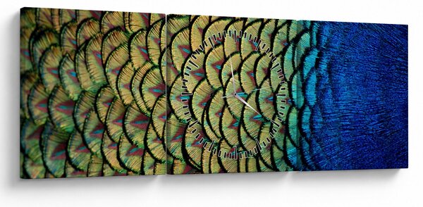 Kép - Pávatollak (órával) (90x30 cm)