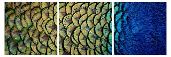 Kép - Pávatollak (órával) (90x30 cm)