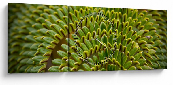 Kép - Fern (órával) (90x30 cm)