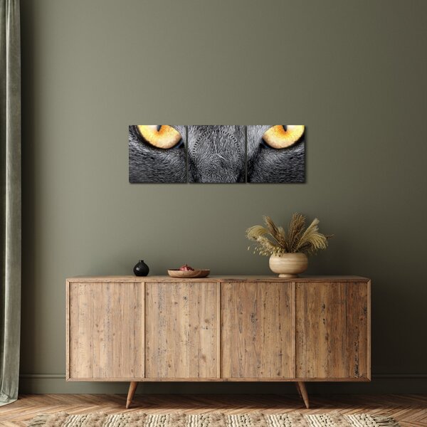 Kép - Közeli portré egy macskáról (órával) (90x30 cm)