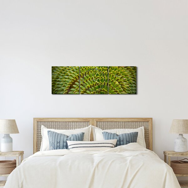 Kép - Fern (órával) (90x30 cm)