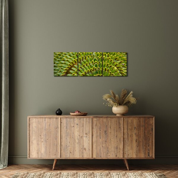 Kép - Fern (órával) (90x30 cm)