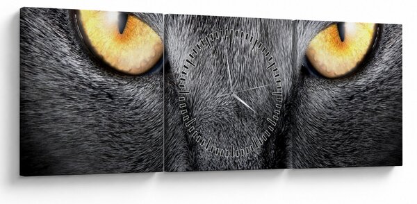 Kép - Közeli portré egy macskáról (órával) (90x30 cm)