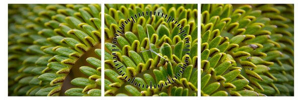 Kép - Fern (órával) (90x30 cm)