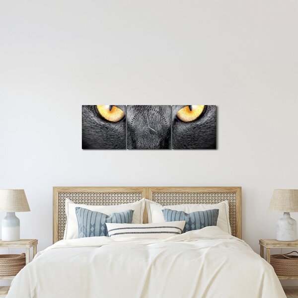 Kép - Közeli portré egy macskáról (órával) (90x30 cm)