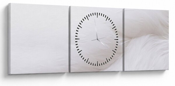 Kép - Fehér toll (órával) (90x30 cm)