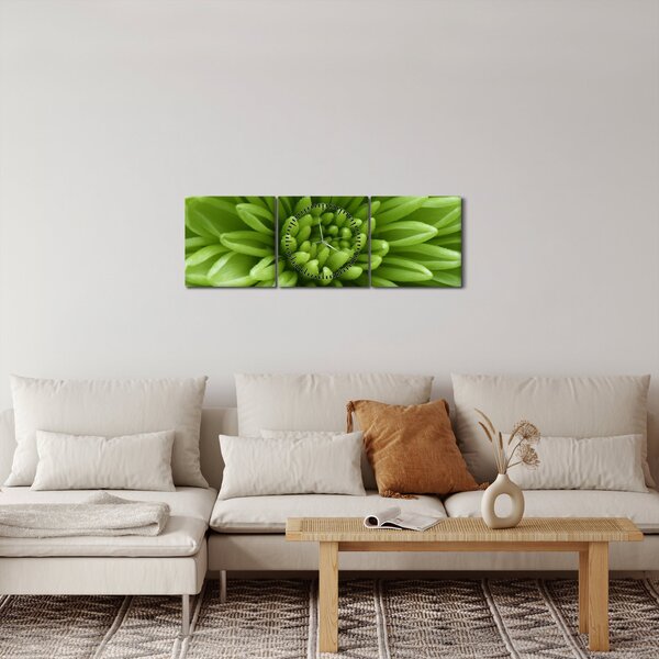 Kép - Makro kép egy növényről (órával) (90x30 cm)