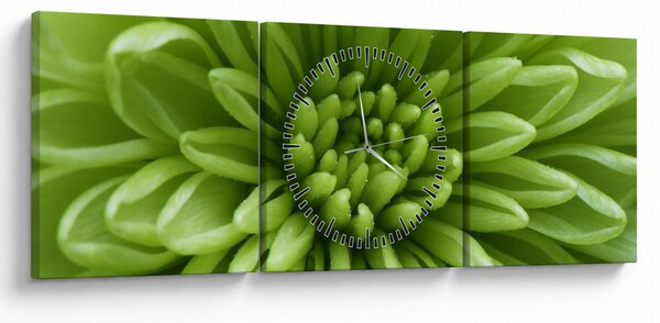 Kép - Makro kép egy növényről (órával) (90x30 cm)
