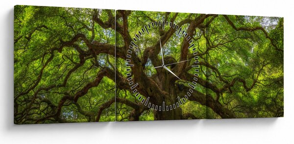 Kép - Zöld fa (órával) (90x30 cm)