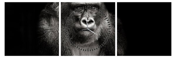 Kép - Gorilla (órával) (90x30 cm)