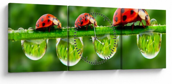 Kép - A hét nap napfénye (órával) (90x30 cm)