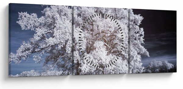 Kép - Hófehérke fa (órával) (90x30 cm)