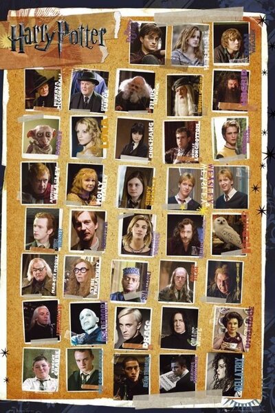 Plakát Harry Potter - Karakterek