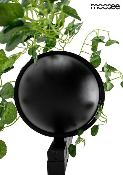 Moosee Plant Wall Fekete Fali Lámpa Növénytartóval