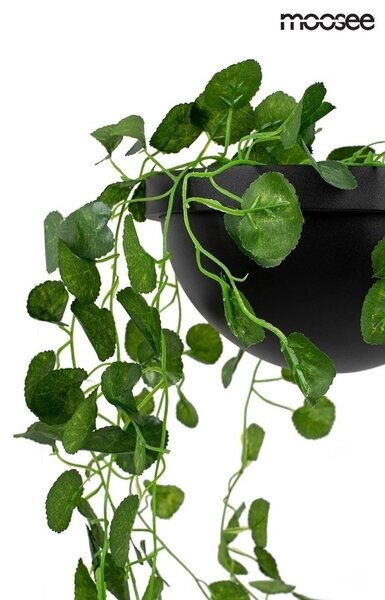 Moosee Plant Wall Fekete Fali Lámpa Növénytartóval
