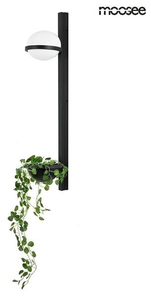 Moosee Plant Wall Fekete Fali Lámpa Növénytartóval