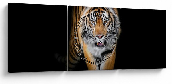 Kép - Tigris (órával) (90x30 cm)