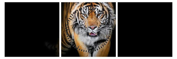Kép - Tigris (órával) (90x30 cm)