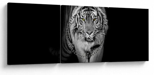Kép - Sárga szemű tigris (órával) (90x30 cm)