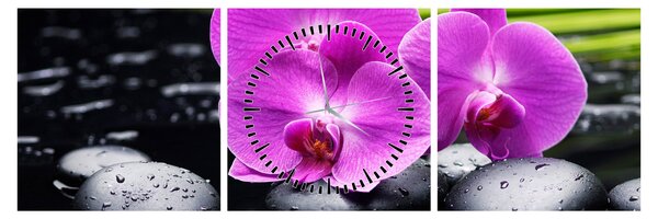 Kép - Orchideák (órával) (90x30 cm)
