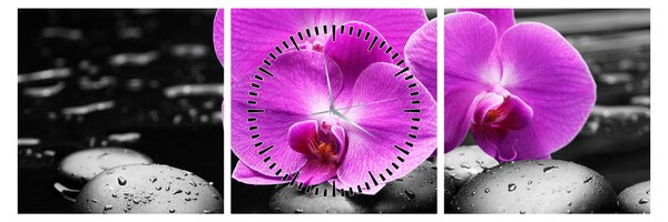Kép - Lila orchideák (órával) (90x30 cm)