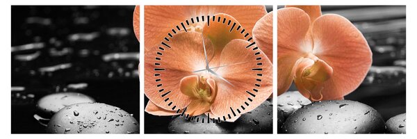 Kép - Narancssárga orchideák (órával) (90x30 cm)